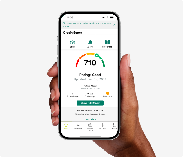 Credit Monitoring
